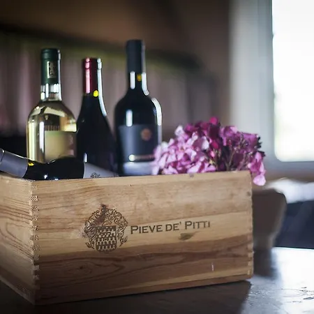 Agriturismo Pieve De Pitti Terricciola
