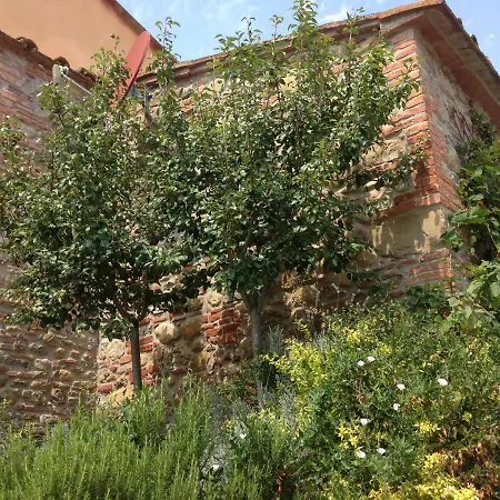 Agriturismo Pieve De Pitti Farm stay Terricciola
