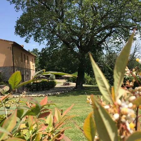 Farm stay Agriturismo Pieve De Pitti Terricciola
