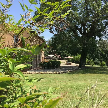 Agriturismo Pieve De Pitti Terricciola