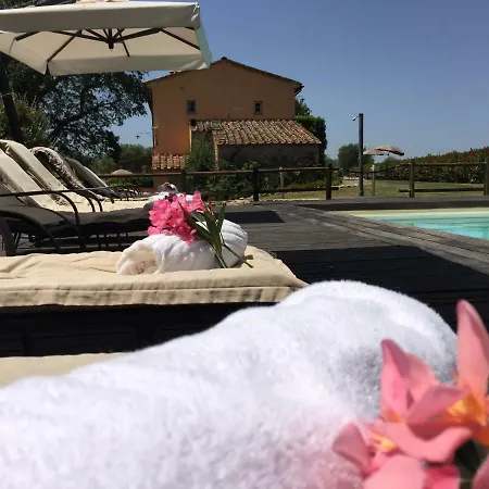Agriturismo Pieve De Pitti Terricciola