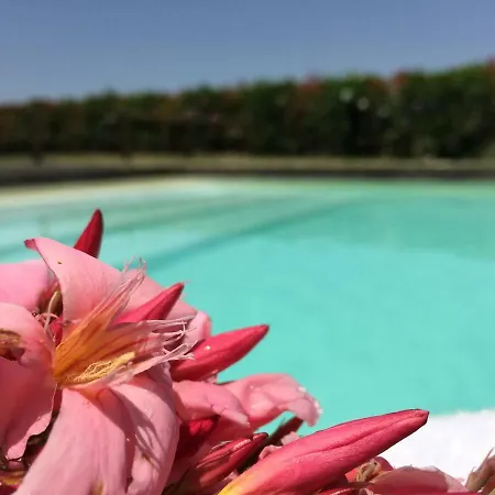 Agriturismo Pieve De Pitti Farm stay *