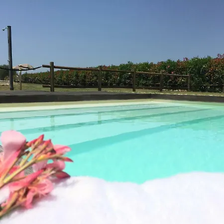 Agriturismo Pieve De Pitti Terricciola