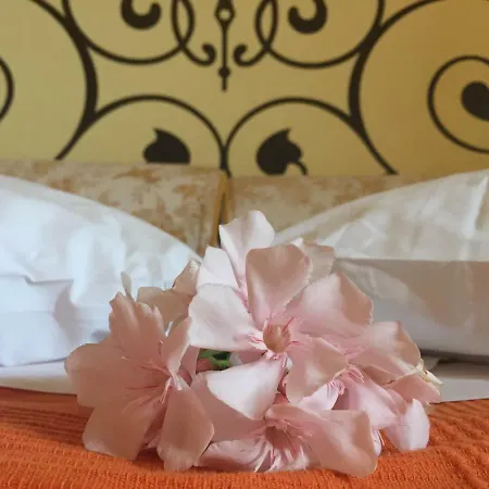 Agriturismo Pieve De Pitti Farm stay *